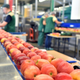 Illustration for article titled Suppliers scramble to get food out of the plant and into the grocery store